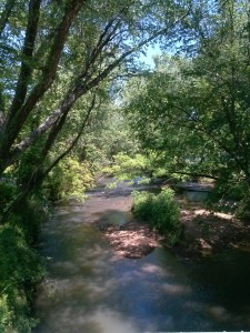 Chestatee River