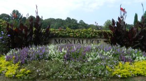 Montaluce Winery & Estates, Dahlonega, Georgia
