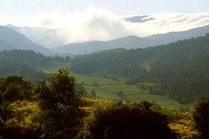 Domaine de Martinolles
