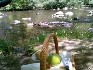 Great Smokey Mountain National Park