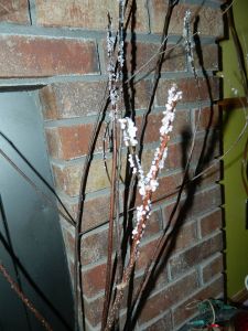 Frosty branch